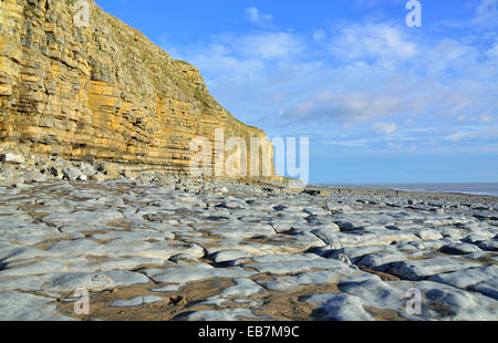 Klippen und Blick auf den Col-Huw Strand, Lantwit Major, Heritage Coast, Vale of Glamorgan, South Wales, Vereinigtes Königreich Stockfoto