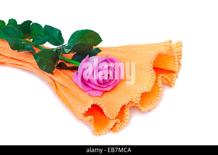 Große schöne rote Rose blättert. Auf weißem Hintergrund dargestellt. Stockfoto