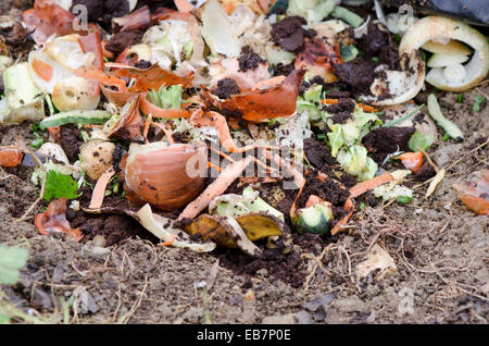 Kompostierung Haufen verrottenden Küche Obst und pflanzliche Reste im Garten, für decomposting. Stockfoto