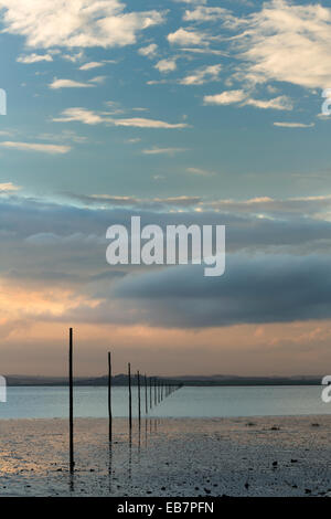 Die Pilger Causeway führt zu Lindisfarne, von der Küste von Northumberland, England, November 2014. Stockfoto