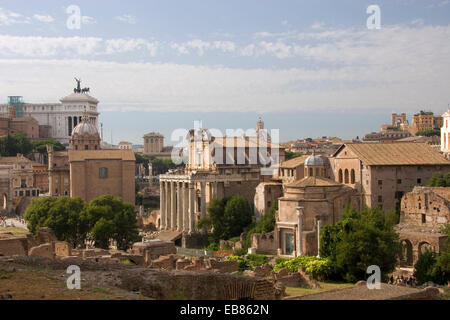 Forum Romanum, Tempel der Faustina und Antonius Pius, später Kirche San Lorenzo, Rom Stockfoto