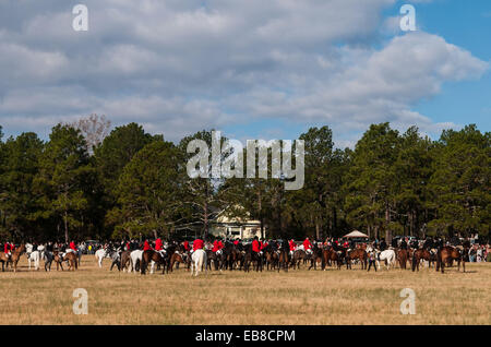 Southern Pines, North Carolina, USA. 27. November 2014. Fahrer und Hunde warten auf Beginn des 100. jährliche Segen der Hunde bei Buchan Field. Veranstaltet von der Moore County Hounds Jagdverein, ist das Ereignis Thanksgiving-Tradition im Moore County. Fahrer erweisen sich in traditionellen formalen Jagd Kleidung - die Männer und Mitarbeiter Mitglieder in roten Jagdjacken oder '' Pinks'' und die Damen in schwarzen Jacken - für eine der ältesten Jagden in der Nation. Penn-MaryDel Hunde sind ein privat geführtes Pack stammt aus 1914. Bildnachweis: ZUMA Press, Inc./Alamy Live-Nachrichten Stockfoto