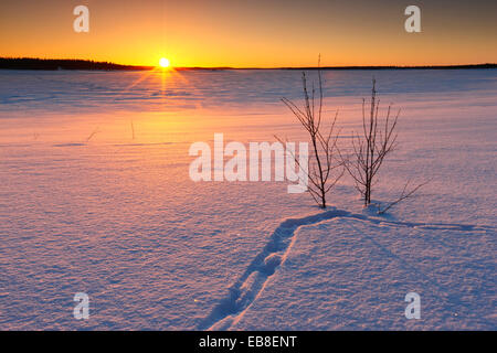 Winterlandschaft. Sonnenuntergang in Lappland, Finnland Stockfoto