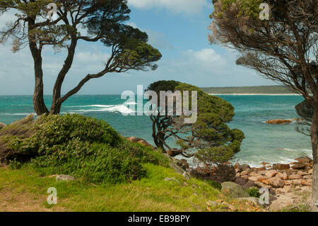 Bunker Bay, Leeuwin Naturaliste NP, WA, Australien Stockfoto