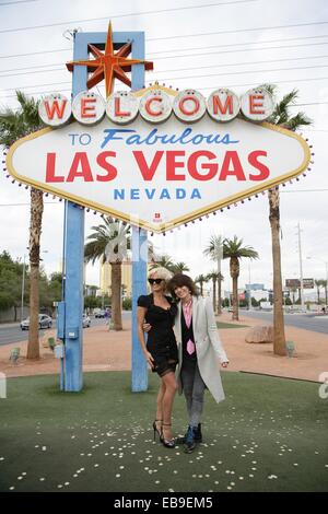 Las Vegas, NV, USA. 27. November 2014. Pamela Anderson, Chrissie Hynde in Anwesenheit für Gay Hochzeit von PETA Dan Mathews und Jack Ryan, Fabulous Las Vegas Sign, Las Vegas, NV 27. November 2014 willkommen. Bildnachweis: James Atoa/Everett Collection/Alamy Live-Nachrichten Stockfoto