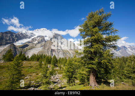 Mit Blick auf Mont Blanc von oben Val Veny, Italien. Stockfoto