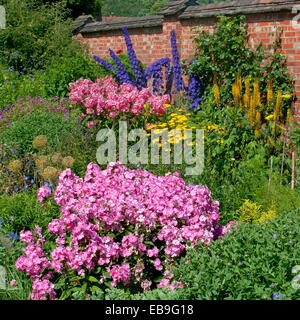 Pink Impatiens, Blauer Rittersporn, gelbe Achillea, Blumen in einen englischen Garten in England Stockfoto