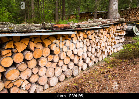 Holzschnitt zur Raumheizung Häuser, trocknen im Val Ferret in den Schweizer Alpen. Stockfoto