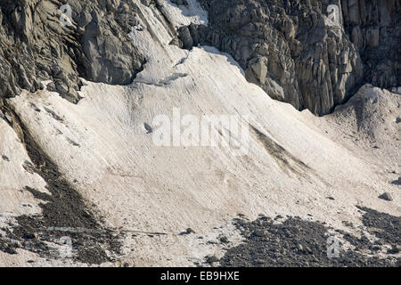 Die schnell zurückweichenden Glacier d' Orny über dem Val Ferret in den Schweizer Alpen. Stockfoto