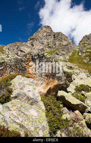 Flechten bedeckt Granitfelsen in der Val D' Arpette in den Schweizer Alpen. Stockfoto