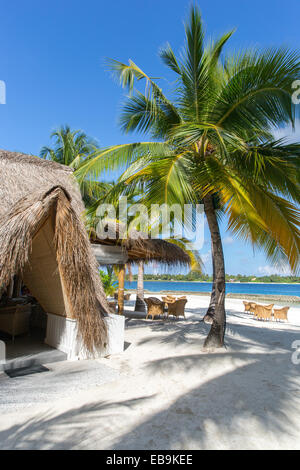 Eine Strandbar auf einem maledivischen Inselresort im Indina Ozean Stockfoto