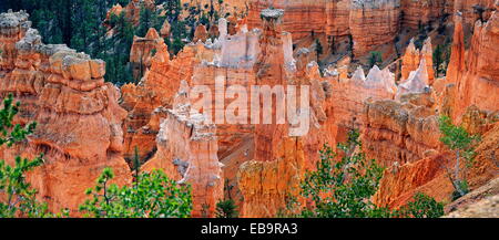 Blick von Rim Trail in der Queens Garden des Bryce Canyon, Bryce-Canyon-Nationalpark, Utah, Vereinigte Staaten von Amerika Stockfoto