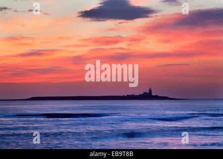 Dawn Himmel über Coquet Island Tölt von der Meer-Northumberland-England Stockfoto