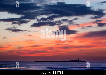 Dawn Himmel über Coquet Island Tölt von der Meer-Northumberland-England Stockfoto