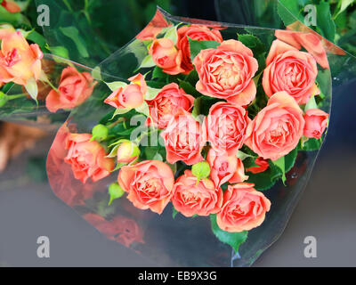 Rosen im shop Stockfoto