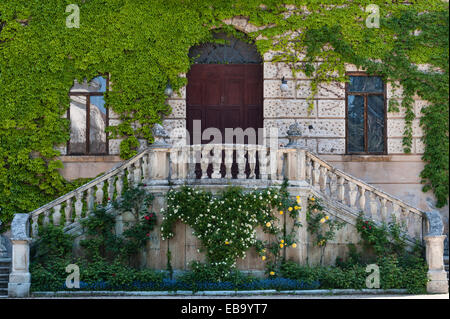 Villa Trissino Marzotto, Vicenza, Italien. Wildem Wein (Parthenocissus) erstreckt sich die Fassade des ursprünglichen Gebäudes 15c Stockfoto