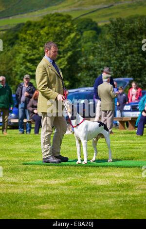 Mann zeigt Foxhound. Threlkeld Show, Threlkeld Keswick Seenplatte Cumbria England UK Stockfoto