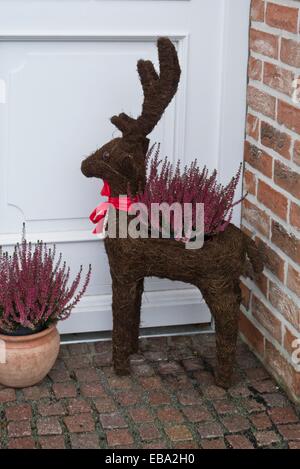 Gemeinsame Heidekraut (Calluna vulgaris) mit Weihnachten Dekoration Stockfoto