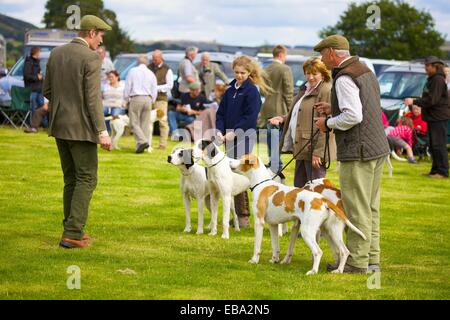 Menschen zeigen Jagdhunden. Threlkeld Show, Threlkeld Keswick Seenplatte Cumbria England UK Stockfoto