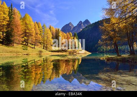 Herbstliche farbige Lärchen spiegeln sich in See Lei da Palpuogna, Albulapass, Kanton Graubünden, Schweiz Stockfoto