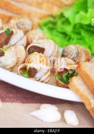 Schmackhafte Schnecken Gericht auf dem Teller mit Brot und Knoblauch, traditionelle französische Feinkost, gesunde Ernährung, Luxus-restaurant Stockfoto