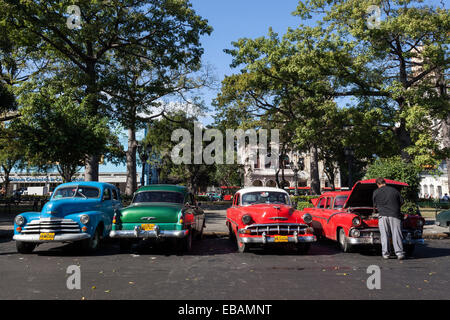 Oldtimer, Parque De La Fraternidad Americana, Havanna, Kuba Stockfoto