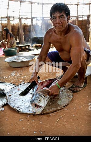 Kalapaló Indios Mato Grosso Brasilien Südamerika Stockfotografie Alamy