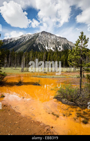 Farbtöpfe in Kootenay National Park, Britisch-Kolumbien, Kanada. Stockfoto