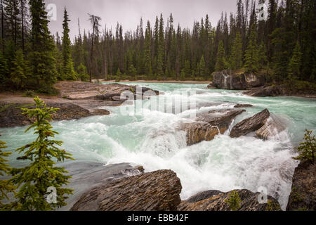 Wasserfälle, Kootenay-River, Kootenay National Park, Britisch-Kolumbien, Kanada. Stockfoto