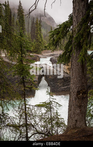 Wasserfälle, Kootenay-River, Kootenay National Park, Britisch-Kolumbien, Kanada. Stockfoto