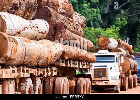 Brasilien Amazonas Regenwald Protokollierung LKW mit Holz Stockfoto