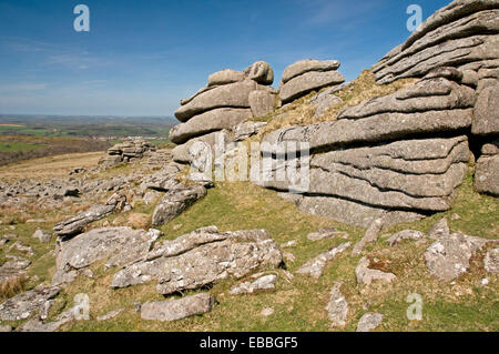 Auf Belstone, Dartmoor, Blick nach Norden Stockfoto