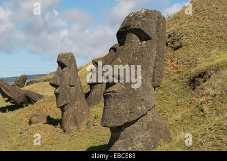 Chile, Osterinsel aka Rapa Nui. Rapa Nui Nationalpark, historische Stätte von Rano Raraku "Steinbruch". Stockfoto