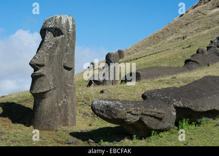 Chile, Osterinsel aka Rapa Nui. Rapa Nui Nationalpark, historische Stätte von Rano Raraku "Steinbruch". Stockfoto