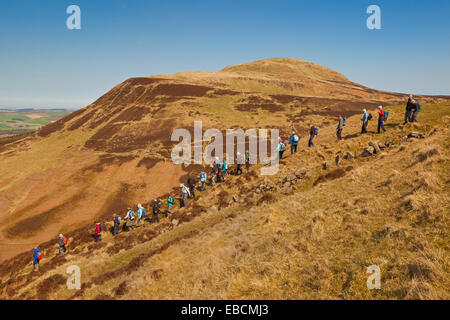 Ein Wandern Club Abstieg in Glen Vale in die Lomond Hügel in der Nähe von Kinross. West Lomond ist im Hintergrund. Stockfoto