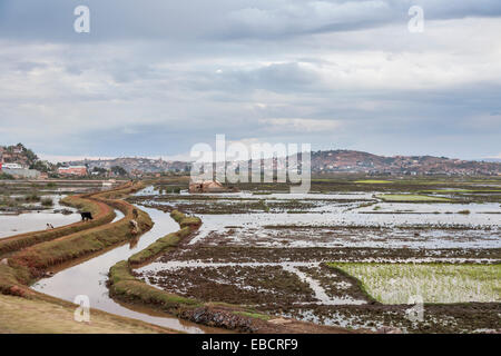 Bewässerungskanäle und überfluteten Reisfeldern mit Kanälen und Deichen in Antananarivo oder Tana, Hauptstadt Madagaskars Stockfoto