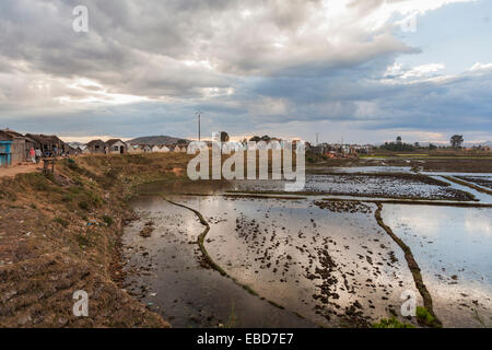 Panoramablick auf die typische überfluteten Reisfeldern Landschaft, und die Slums der Stadt in einem Vorort von Antananarivo, oder Tana, Hauptstadt von Madagaskar Stockfoto