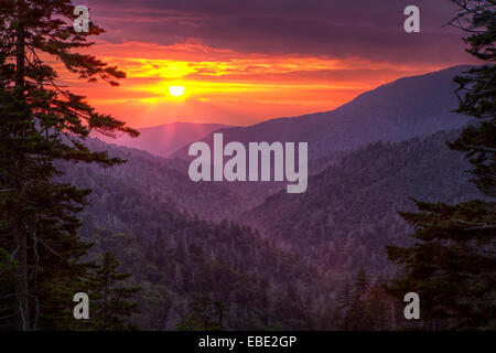 Einen dramatischen Sonnenuntergang über Bergketten eingerahmt zwischen immergrünen Bäumen an einem Overloook in der Great Smoky Mountain National Park. Stockfoto