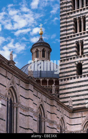 Nahaufnahme von Dom und Turm, Duomo di Siena, Provinz Siena, Siena, Toskana, Italien Stockfoto