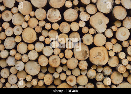 Stapel von Fichte Protokolle, Spessart, Hessen, Deutschland, Europa Stockfoto