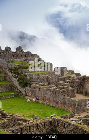 Machu Picchu, Urubamba Provinz, Region Cusco Peru Stockfoto