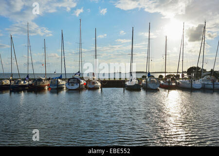 Marina mit Segelbooten, Hafen bei Orth, Schleswig-Holstein, Ostsee Insel, Fehmarn, Ostsee, Deutschland Stockfoto