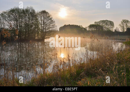 Angeln Teich bei Sunrise, Gunzenau, Grebenhain, Vogelsbergkreis, Hessen, Deutschland Stockfoto