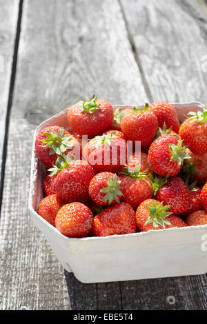 Nahaufnahme von frisch gepflückten Erdbeeren in Box Container auf Tisch im Freien, Deutschland Stockfoto