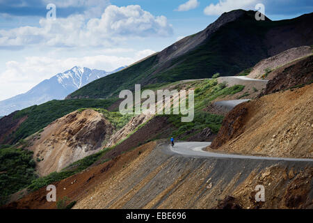 Radfahren auf Wicklung Straße, Denali National Park, Alaska, USA Stockfoto