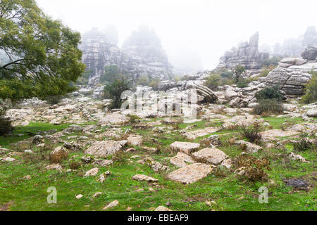 Die Kalksteinformationen der El Torcal National Park in der Nähe von Antequera, Spanien Stockfoto