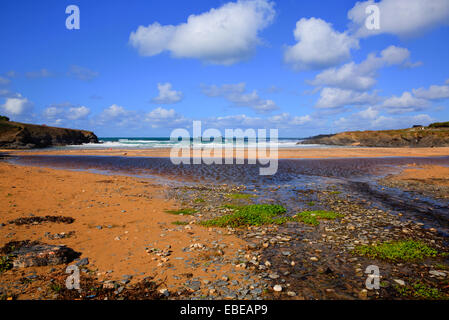 Treyarnon Bay Strand Cornwall England UK Cornish Nordküste zwischen Newquay und Padstow auf einer sonnigen blauen Himmel Tag grüne Algen Stockfoto