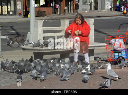 Eine ältere Chinesin, die Verfütterung von Brot Bits an Tauben auf Chatham Square in Chinatown, Downtown Manhattan, New York City Stockfoto