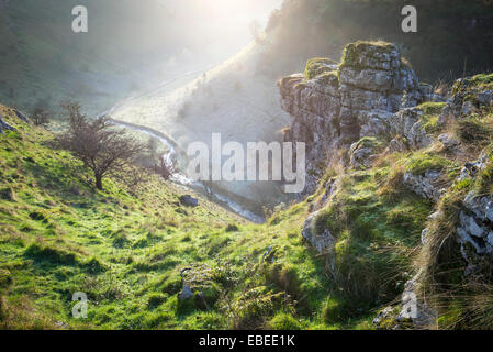 Ein Wintermorgen am Lathkill Dale in der Peak District National Park, Derbyshire. Stockfoto