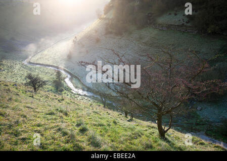 Ein Wintermorgen am Lathkill Dale in der Peak District National Park, Derbyshire. Stockfoto